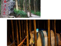 -山王坪喀斯特国家生态公园