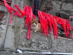 -终南山南五台景区