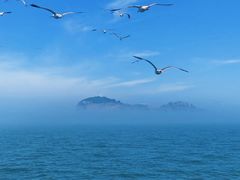 -海驴岛(荣成市)
