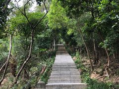 -小南山公园