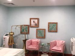 -东方凯丽·美容抗衰会所·菲比店