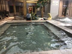 -丽池宫韩式汗蒸会馆(华灯坊店)