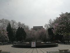 -山东师范大学(千佛山校区)