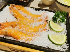 -猫爪爪原切自助烤肉(观音桥阳光世纪店)