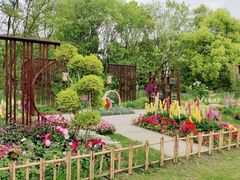 -上海共青森林公园