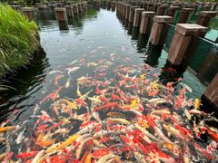 -宁波杭州湾国家湿地公园