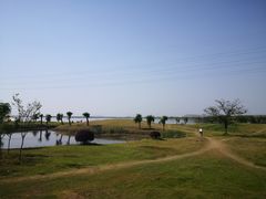 -漕湖湿地公园