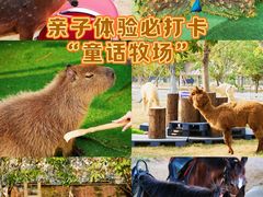 -盈香心动乐园