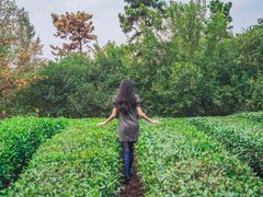 -南京金牛湖风景区