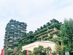 -碧桂园总部大楼