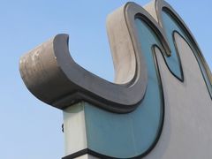 -王借岗森林公园