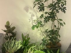 -手佳按摩·足疗·艾灸(博物院中山陵店)
