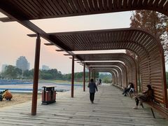 -眉山湿地公园(东坡区)