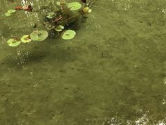 -竹泉村旅游度假区