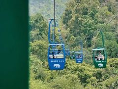 -野象谷景区