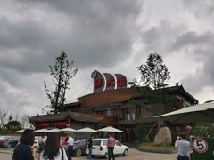 -胖大姐黄辣丁鱼庄(新津店)