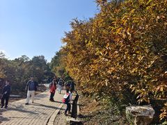 -虞山风景区