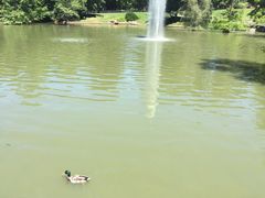 -丽池公园