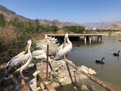 -新疆天山野生动物园