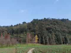 -贵阳市花溪国家城市湿地公园