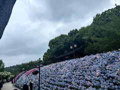-苏州上方山国家森林公园