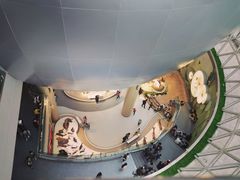 -陕西自然博物馆