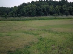 -黄陂区野村谷景区