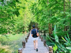 -桤木河湿地公园