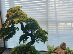 -苏淮景·苏闽融创菜·海鲜(原空港井河轩店)