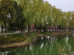 -洪泽湖古堰景区