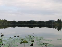 -上海市保健医疗中心