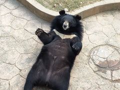 -无锡动物园·太湖欢乐园
