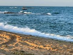 -日照海滨国家森林公园