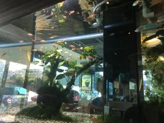 景观位-大家乐(佛山南海店)