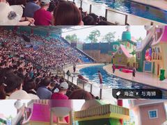 -帝企鹅自助餐厅•儿童岛•真企鹅(长隆企鹅酒店)