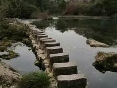 -花溪公园