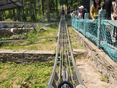 -沂蒙山旅游区云蒙景区(蒙山国家森林公园)