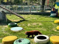 -水上乐园·欢乐世界