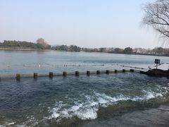 -西湖外事游船(花港观鱼码头)