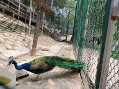 -北京鹿世界主题园