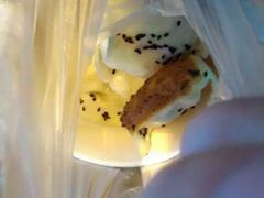 -汪记大王锅贴(成山路店)