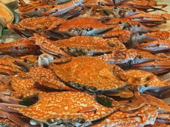 -彩虹云霄拜约克摩天塔