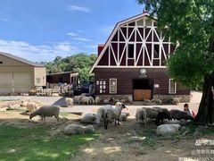 -神户市立六甲山牧场