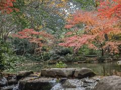 -中国茶叶博物馆(双峰馆区)