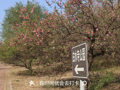 -白水寺森林公园