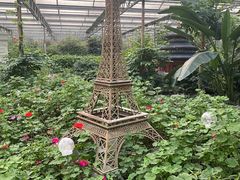 -南宫五洲植物乐园