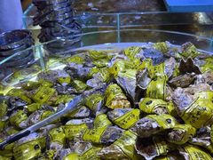 -聚盛源蒸汽海鲜火锅烤肉自助(巨川金海岸购物广场店)