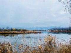 -野鸭湖国家湿地公园