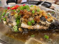 豆豉台湾鲷-乡亲鹅肉城(吴江店)