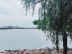 -上海吴淞炮台湾国家湿地公园